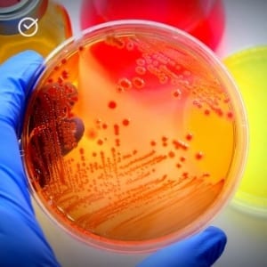 Copy-of-micro